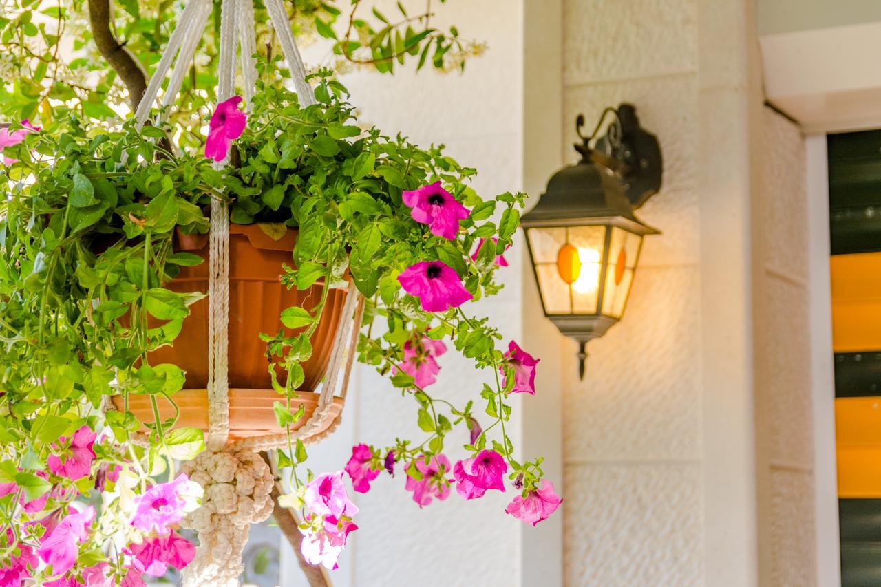 Apartments Villa Camellia - Adults Only سوبيتار المظهر الخارجي الصورة