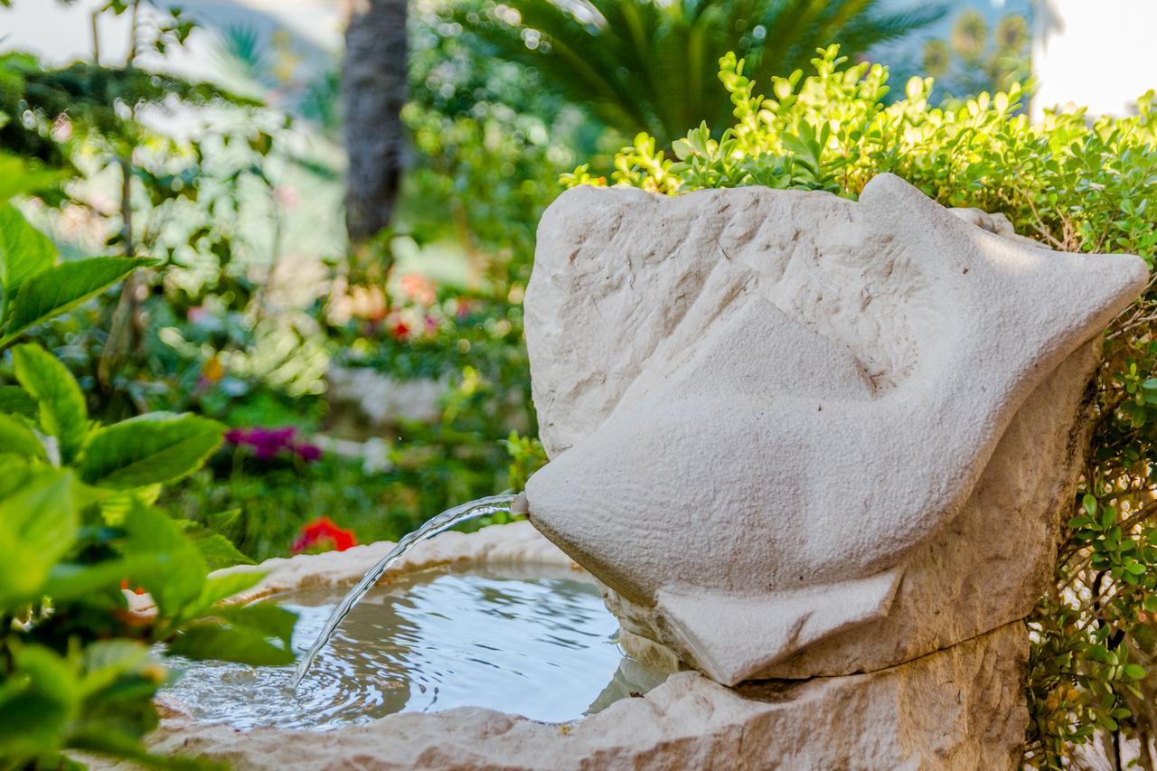 Apartments Villa Camellia - Adults Only سوبيتار المظهر الخارجي الصورة