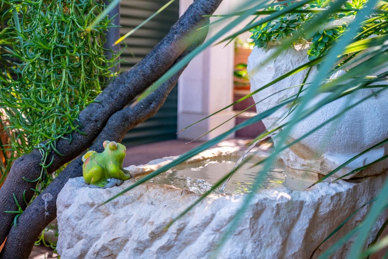 Apartments Villa Camellia - Adults Only سوبيتار المظهر الخارجي الصورة